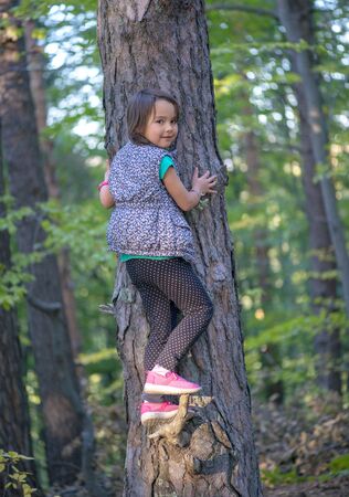 little girl climbing on a tree in the forestの写真素材