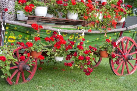 Ornamental cart with flowers on itの写真素材