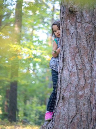 little girl climbing on a tree in the forestの写真素材