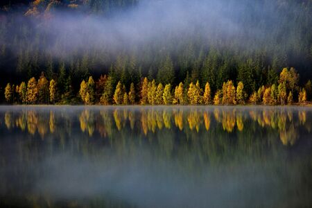 Autumn landscape in the mountains with trees reflecting in the water at St. Ana's lake, Romania