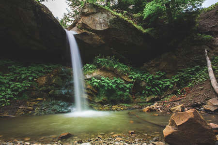 Deep forest river wild waterfall view.
