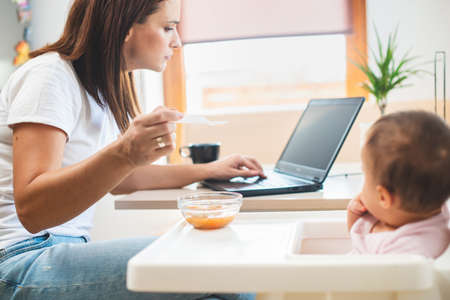 Young woman in white t-shirt sitting with a cat on her lap at the wooden table at home with laptop and notebook, workingの写真素材