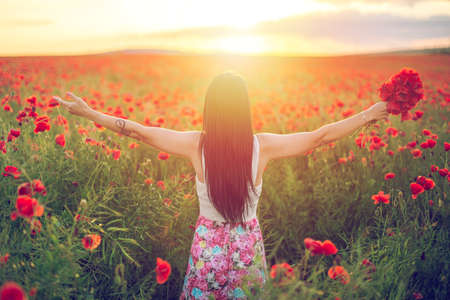 beautiful girl in a poppy field at sunsetの写真素材