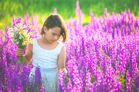 Girl in a white dress gathering purple flowersの写真素材