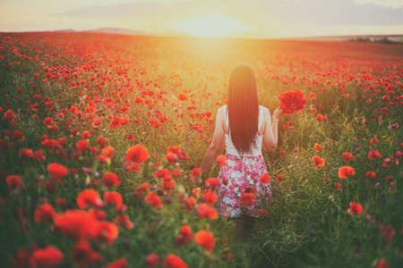 A beautiful brunette with a red bouquet in the poppy field at sunsetの写真素材