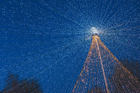 Christmas arch at blue hour in the middle of winter season