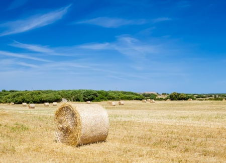 Straw roll bale on the farmland in sunny day at Menorca, Spain の写真素材