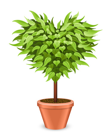 Heart shaped tree in the pot isolated on white background のイラスト素材