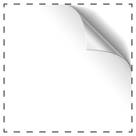 Blank coupon vector template with curled corner.のイラスト素材