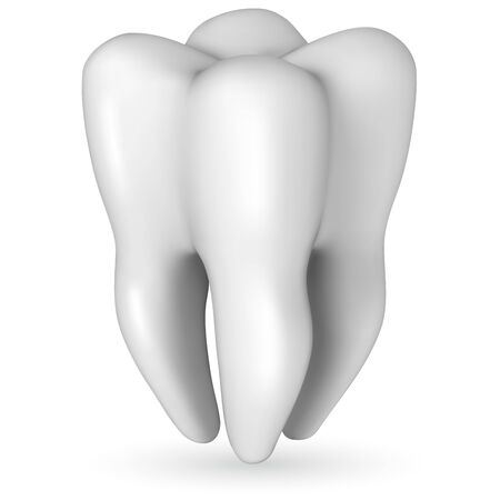 Healthy white molar tooth realistic vector illustration isolated on white background. Scale-free resizable tooth template.のイラスト素材