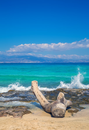 View on Crete from Chrisi island beach with the old tree log in foreground and splashing waves of crystal clear Mediterranean sea, Greece. Popular place for making photos.の写真素材