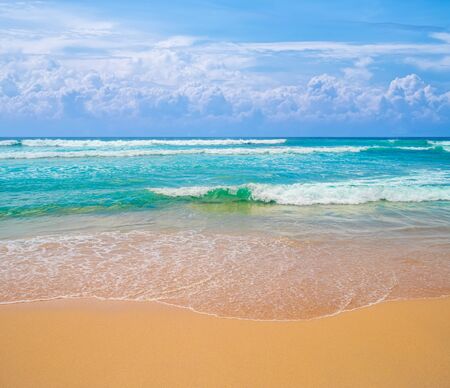 Tropical ocean beach with yellow golden sand on sunny day vacation background.の写真素材