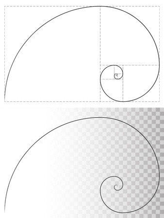 Golden ratio spiral line vector template. Beauty and harmony standardのイラスト素材