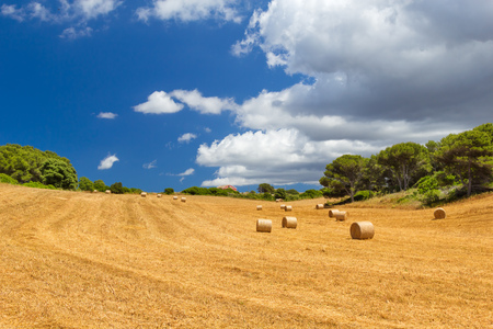 Sunny field with hay bales and blue cloudy sky, Menorca island, Spain. Harvesting autumn background.の写真素材