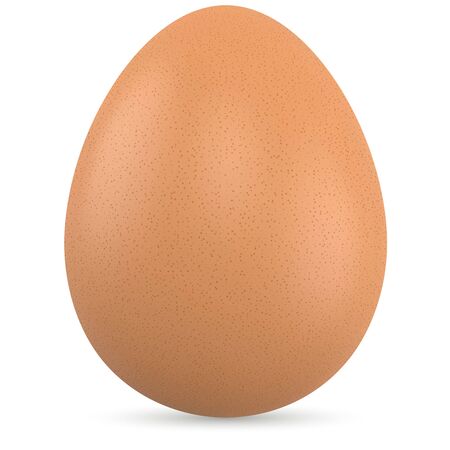 Brown Egg Isolated on White Background. Realistic Vector Illustration.のイラスト素材
