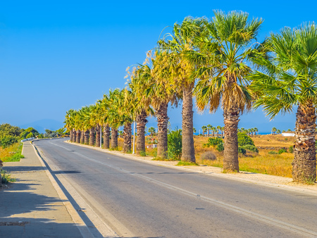 Asphalt Road with Right Turn in the End with Palms on the Side, Rhodes Island, Greece.の写真素材