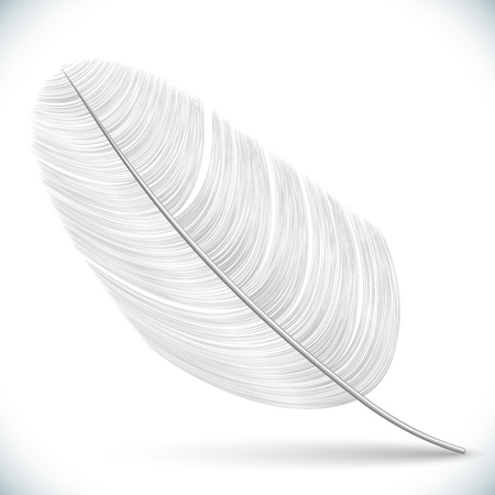 White Feather Isolated on White Background. Vector Illustration.のイラスト素材