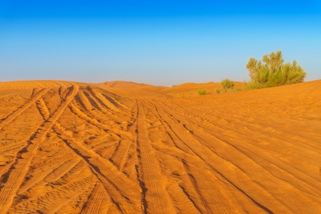 Desert Yellow Sand Dunes Landscape with Tire Tracks. Dubai, UAE.の写真素材