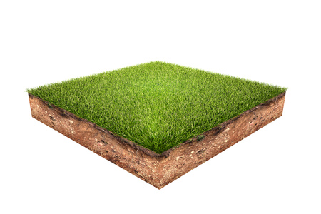 Green Grass Land Piece Isolated on White Background. 3D Illustration.の写真素材