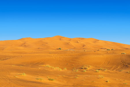 Desert Yellow Sand Dunes Landscape. Dubai, UAE.の写真素材