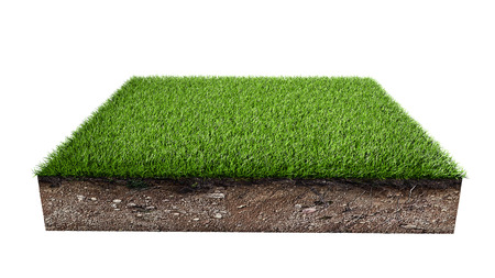 Green grass land piece isolated on white background. 3D illustration.の写真素材