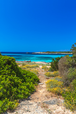 Footpath to the Coast of Menorca Island with Clean Blue Water of the Mediterranean Sea, Spain.の写真素材
