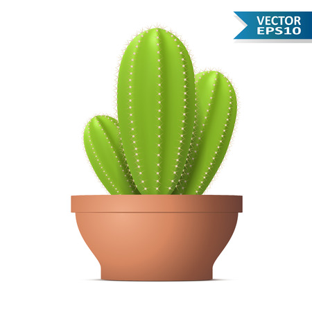 Green Cactus in the Flower Pot Isolated on White Background. Home Decoration. Vector Illustration.のイラスト素材