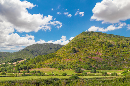 Menorca Green Fields and Hills Sunny Background, Balearic Islands, Spain.の写真素材