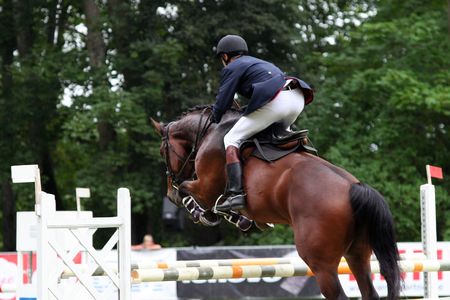jumping horseの写真素材