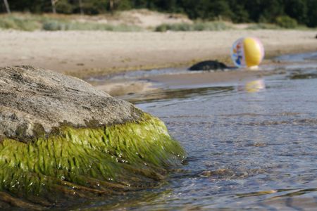 Stone with sea algae and beachball on backgroundの写真素材