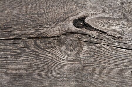 Close up shot of an old wood texture.