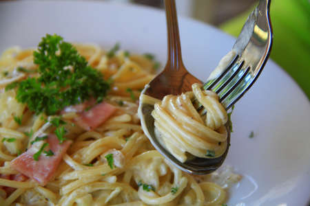 spaghetti white sauceの写真素材