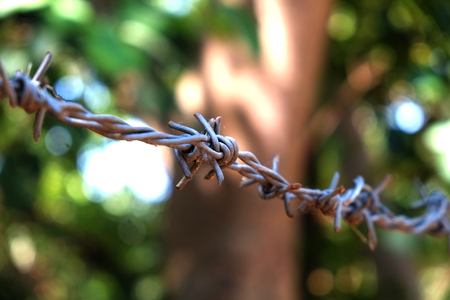 Close up barbed wire with spider web.の写真素材