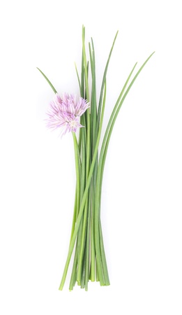 Chive on white background.の写真素材