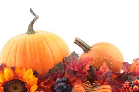 Pumpkins and autumn decorations on white background with copy space.の写真素材