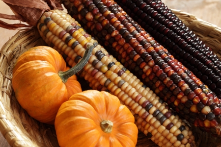 Pumpkins and indian corn arrangementの写真素材