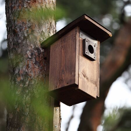Tree with new wooden house for birds.