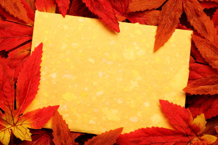 Autumn or thanksgiving greeting card with copy space