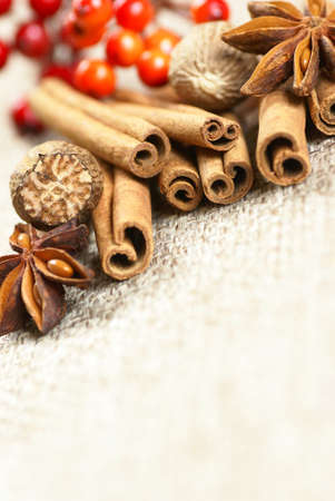 Cinnamon sticks, anise stars and nutmegs with red berry decorations.の写真素材