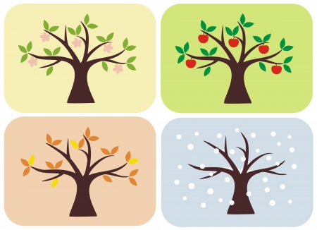 Vector illustration of tree in spring, summer, autumn and winter のイラスト素材