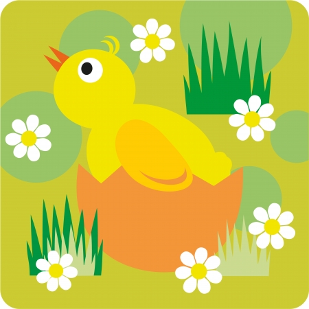 Baby chicken hatching from eggのイラスト素材