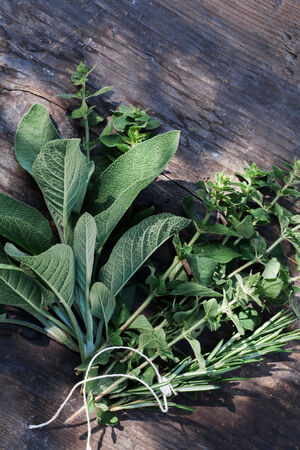 Sage, oregano and rosemary on a wooden table.の写真素材
