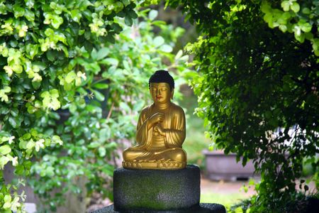 statue of sitting buddha in parkの写真素材