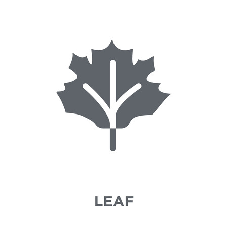 Leaf icon. Leaf design concept from Ecology collection. Simple element vector illustration on white background.のイラスト素材