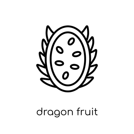 dragon fruit icon. Trendy modern flat linear vector dragon fruit icon on white background from thin line Fruit and vegetables collection, outline vector illustrationのイラスト素材