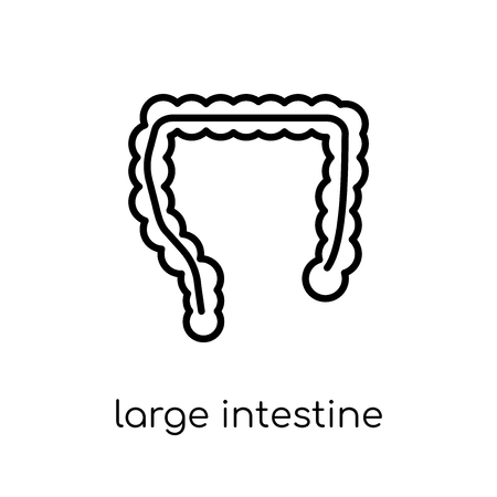 Large Intestine icon. Trendy modern flat linear vector Large Intestine icon on white background from thin line Human Body Parts collection, editable outline stroke vector illustrationのイラスト素材