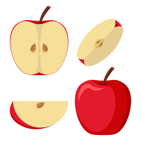 Half An Apple, Slice, Top View, Side View. Colorful Tasty And Juicy Flat Style Vector Illustrationのイラスト素材