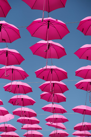 Many ornamental pink umbrellas hanging on ropes in the air on blue sky background, vertical pictureの写真素材