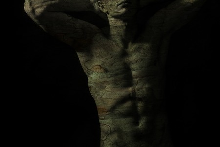 Handsome shirtless fit man torso with bark textureの写真素材