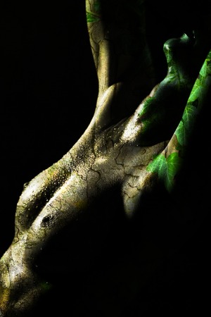 Beautiful and hot woman with green bark textureの写真素材